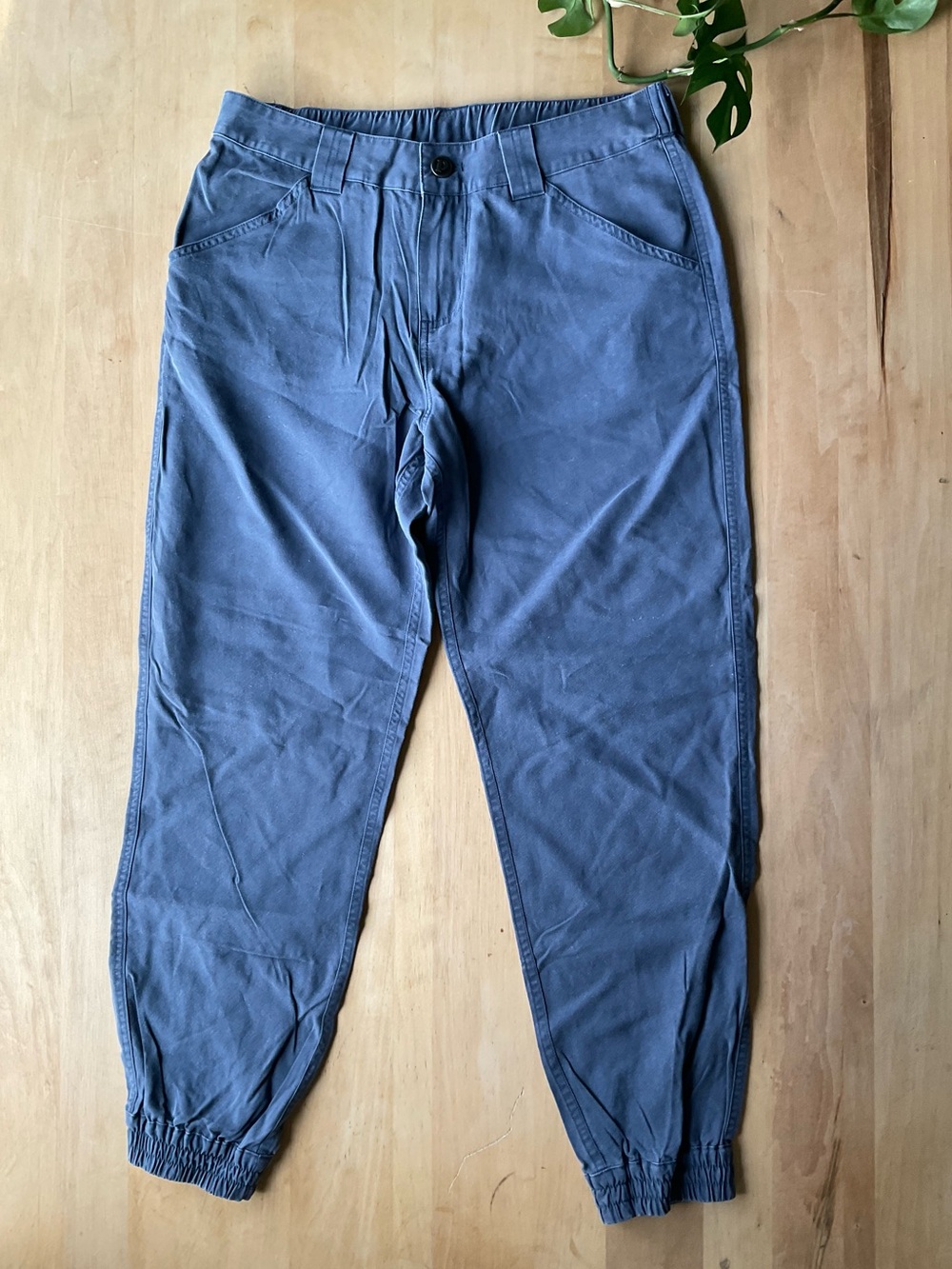 Patagonia cropped joggers
